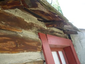 vacation july 2011 157